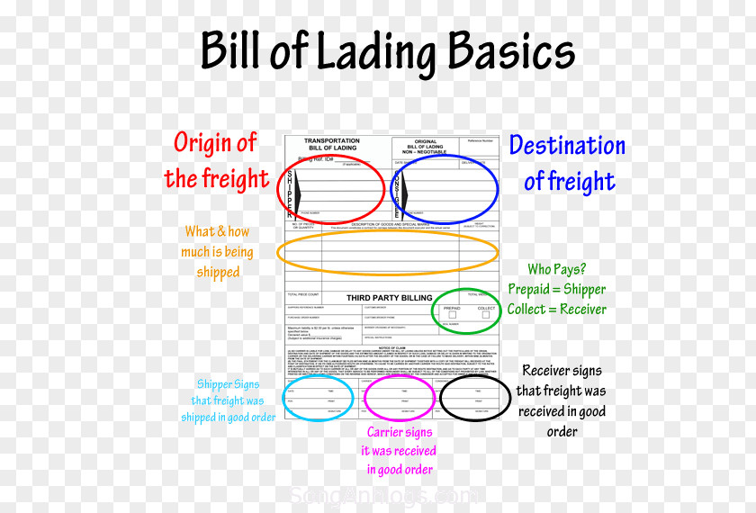 Consignee Bill Of Lading Export Transport Cargo Manifest PNG