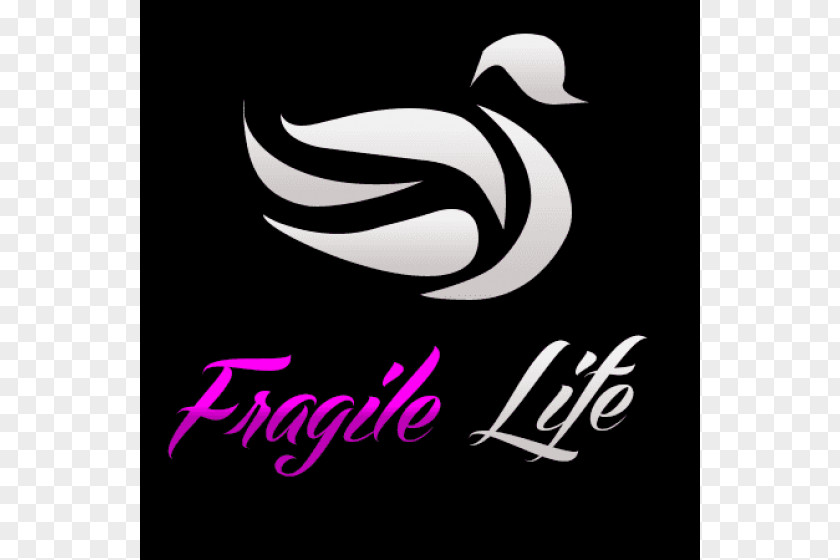 Fragile Life San Miguel Social Media About.me Video Logo PNG