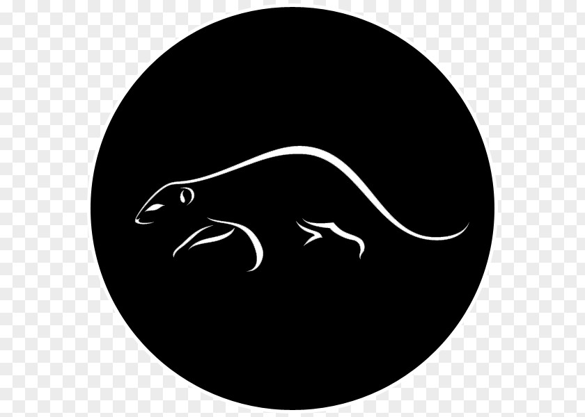 Mongoose Animal Pictures Sweden National Geographic Society Nail Art RewardStyle Startup Company PNG
