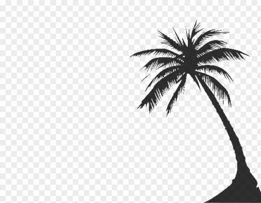 Palm Tree Silhouette Arecaceae Clip Art PNG