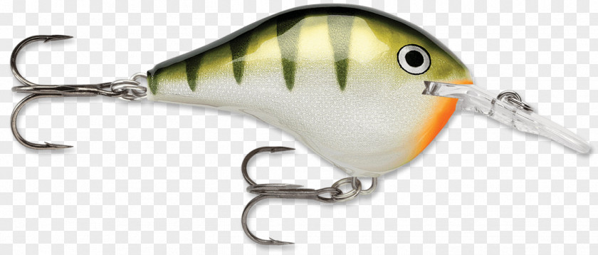 Yellow Perch Rapala Fishing Tackle Baits & Lures PNG