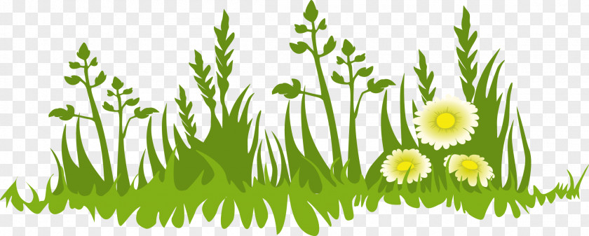 Cartoon Flower Fresh Meadow Grass Google Images Clip Art PNG