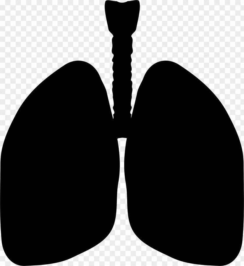 Circulation Cartoon Lungs Clip Art Lung Silhouette Vector Graphics PNG