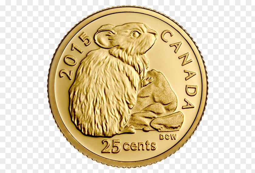 Coin Gold Canada Sovereign PNG