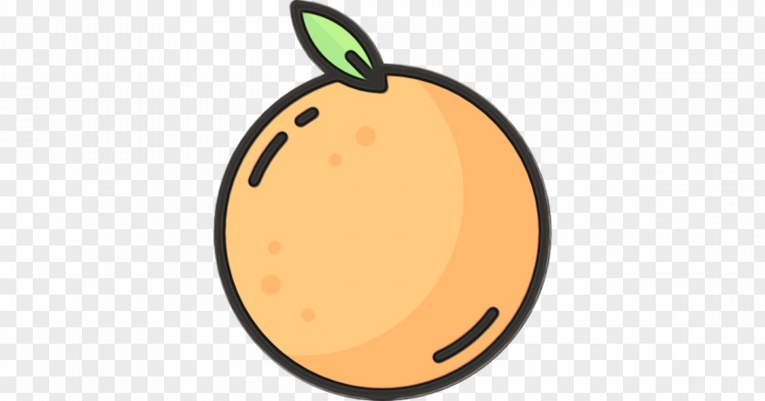 Food Plant Orange PNG