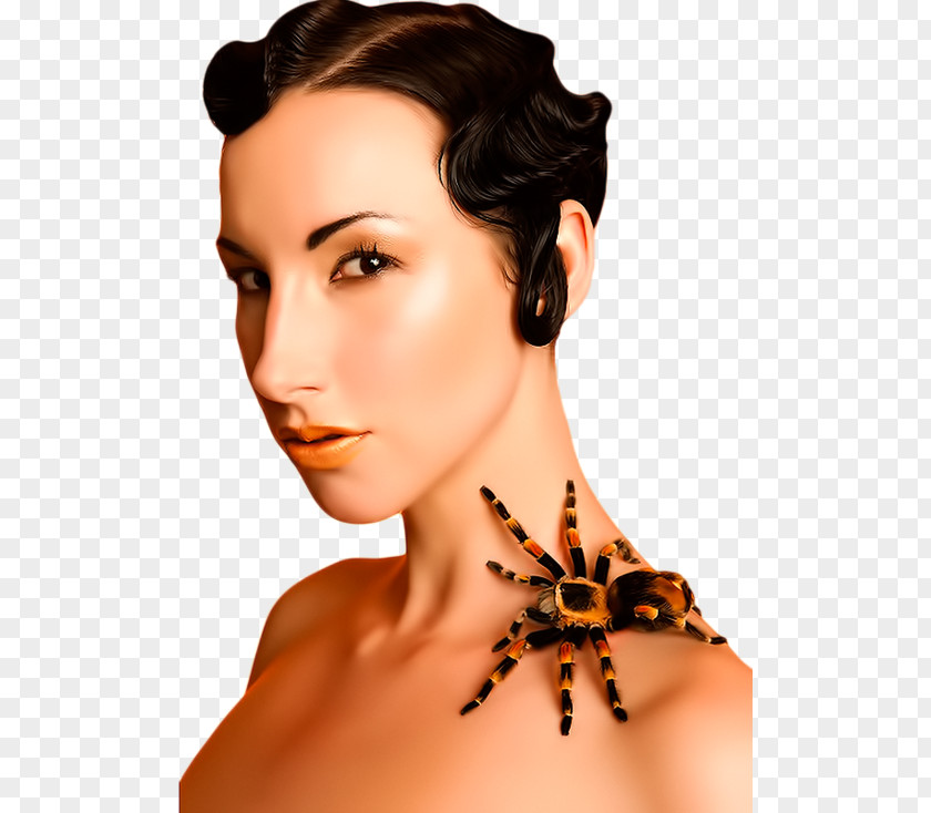 Spider Woman Insect Bee Eyebrow Eyelash Black Hair PNG