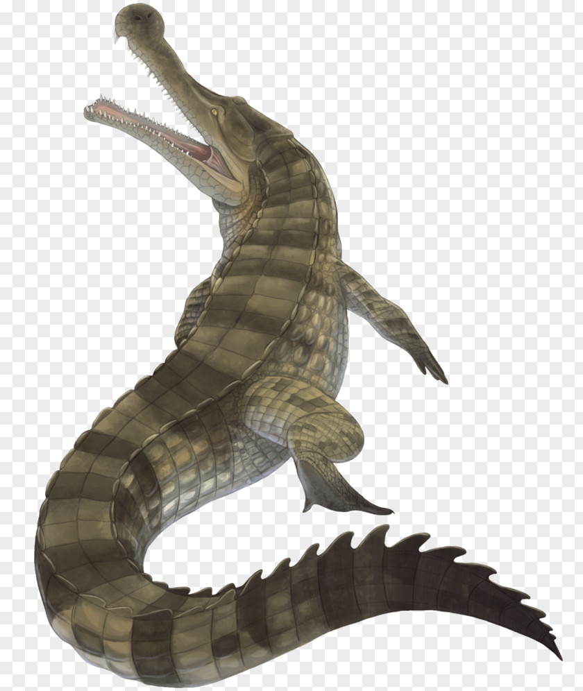 Crocodile Sarcosuchus Deinosuchus Kaprosuchus Spinosaurus PNG