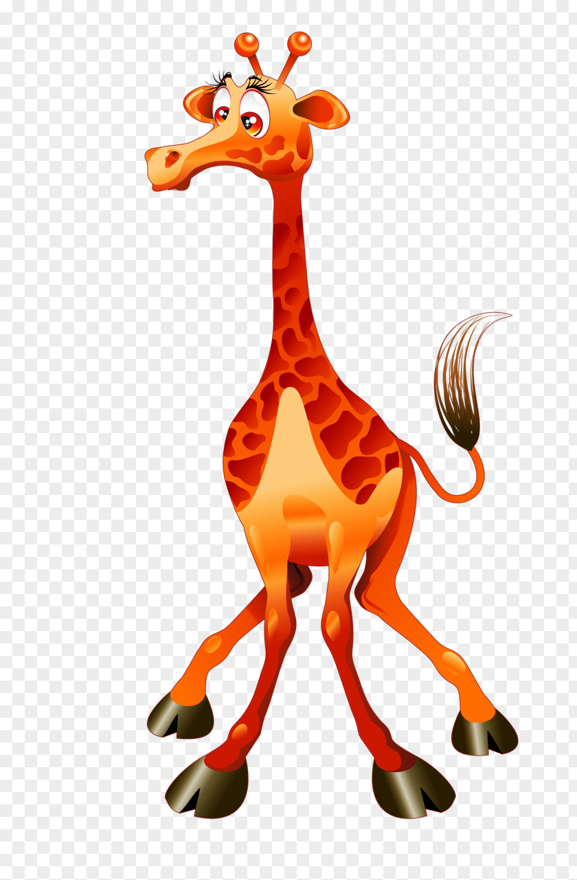 Giraffe Baby Giraffes Drawing Clip Art PNG