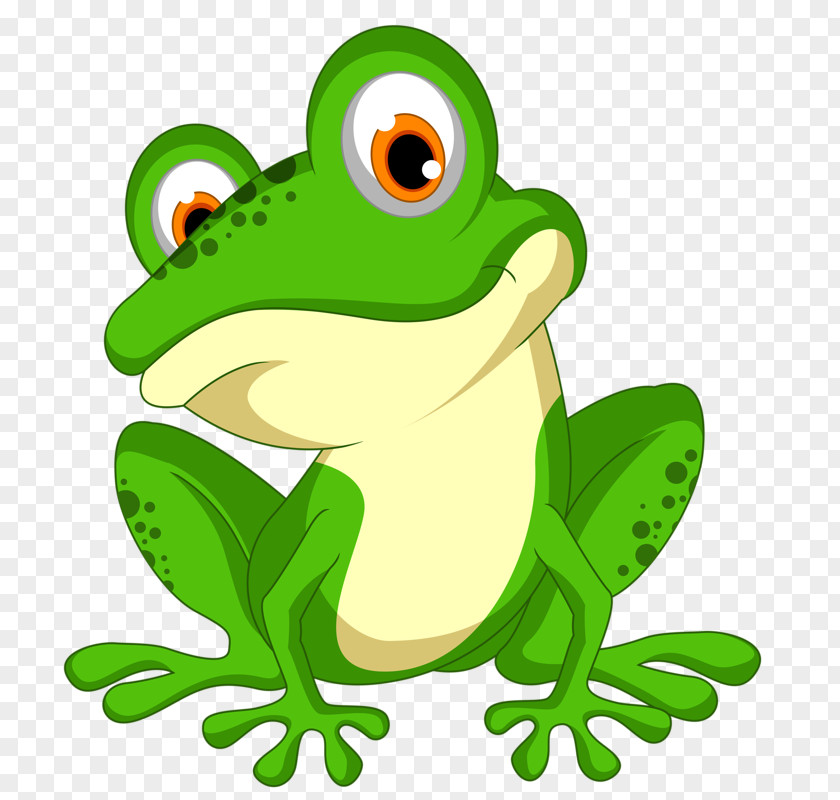 Green Frog Clip Art PNG