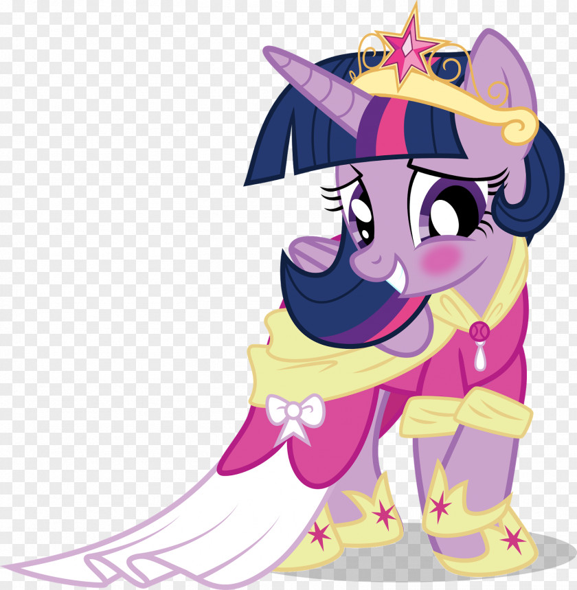 Sparkle Twilight Rainbow Dash Fluttershy Pinkie Pie Pony PNG