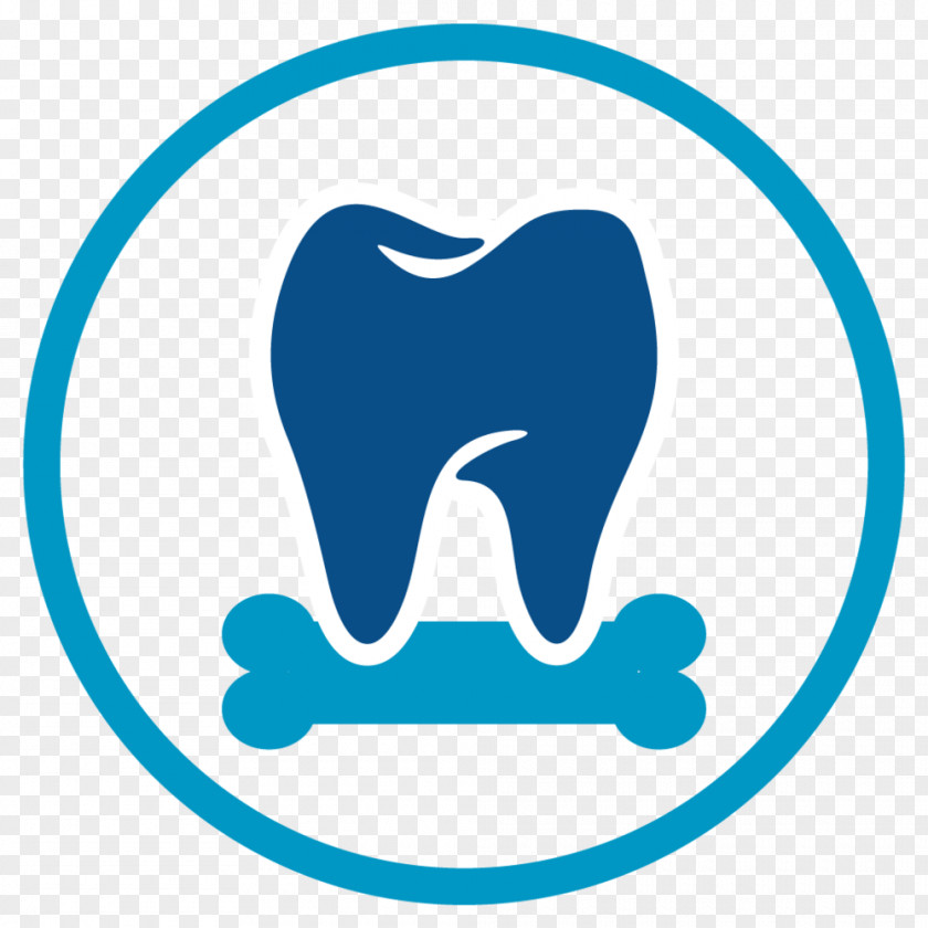 Tooth Periodontal Disease Bone Grafting Periodontology Dental Implant PNG