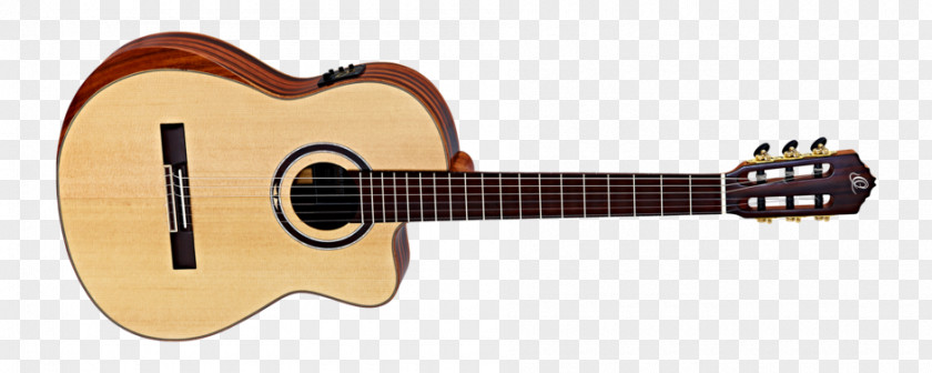 Acoustic Guitar Ukulele Twelve-string Takamine Guitars PNG