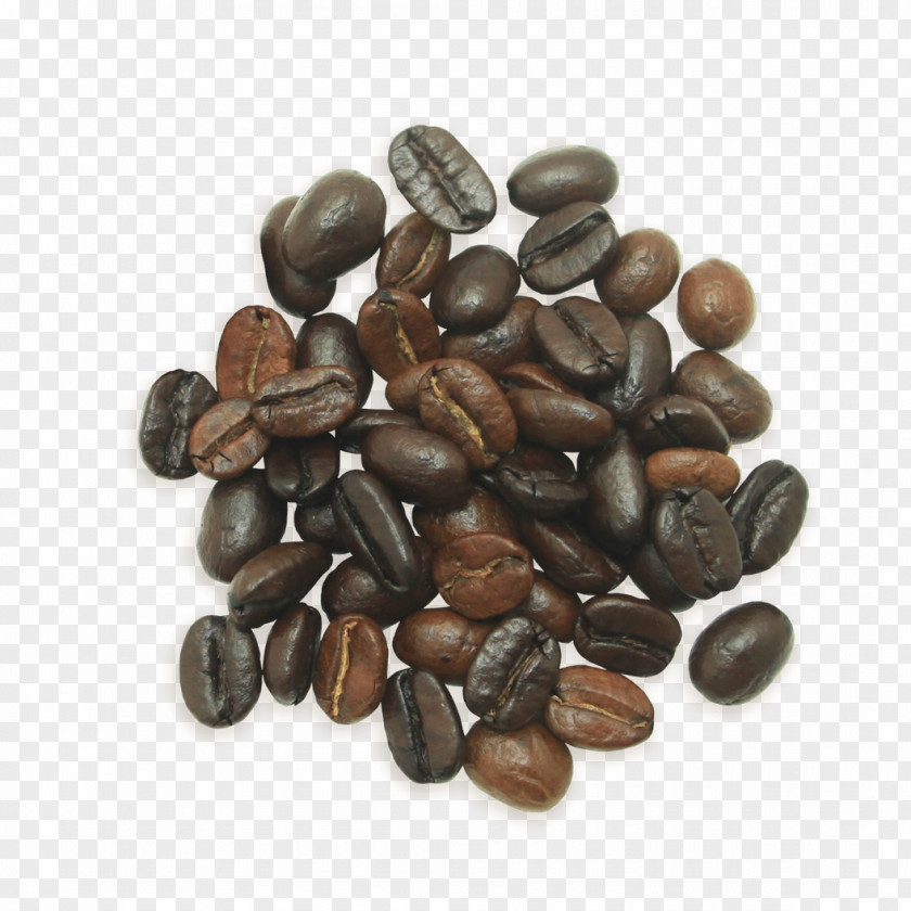 Coffee Nuts Jamaican Blue Mountain Bean Single-origin Irgachefe PNG