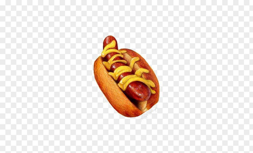 Hot Dog Illustration Bratwurst Bockwurst Knackwurst Street Food PNG