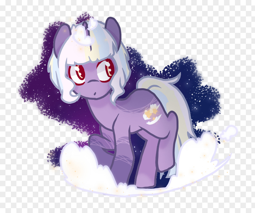 Late Night Horse Pony Vertebrate Cat Mammal PNG