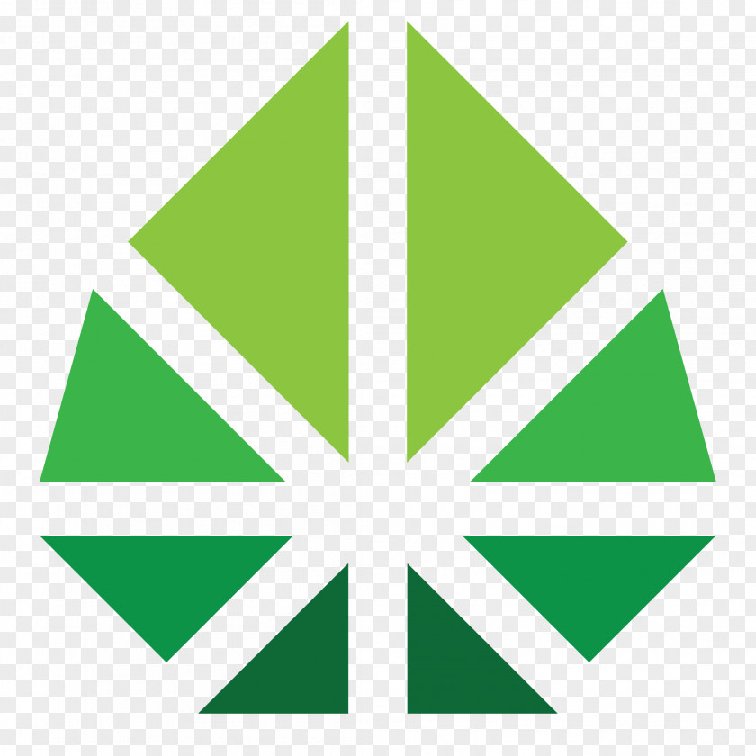 Logo Flag Background PNG