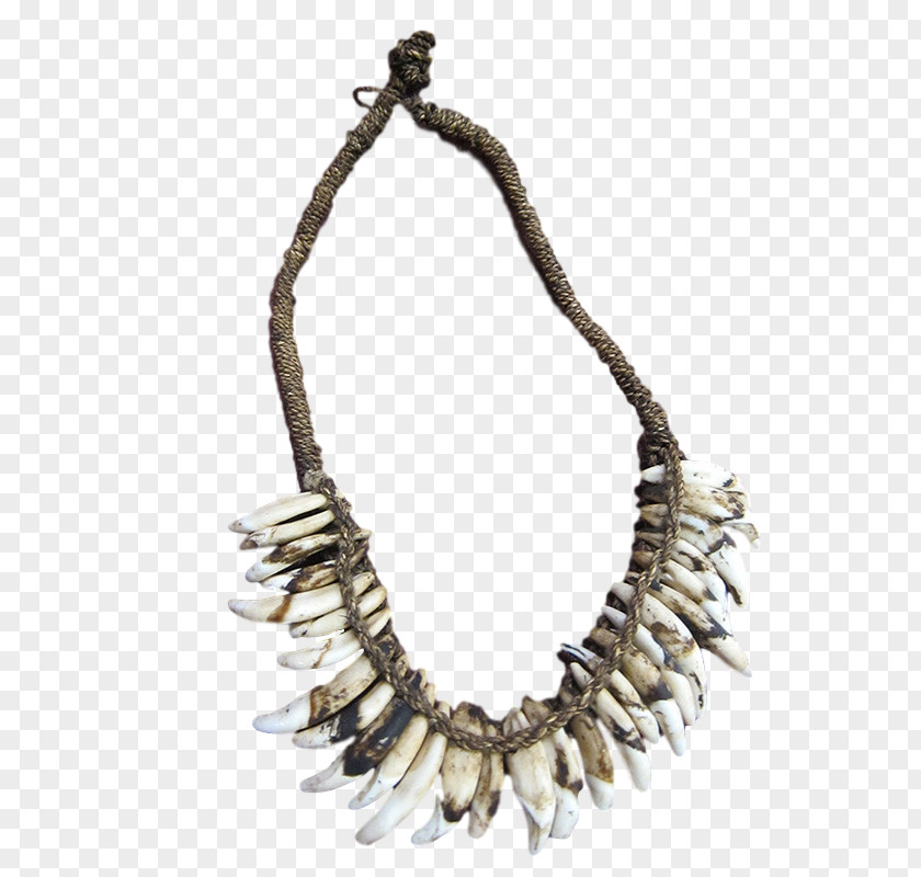 Necklace Jewellery PNG