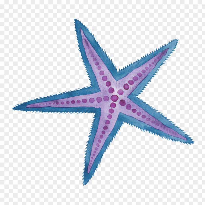 Starfish Illustration Watercolor Painting Birthday Sea PNG