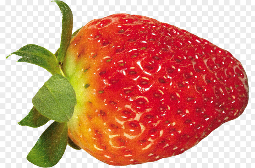 Strawberry Clip Art PNG