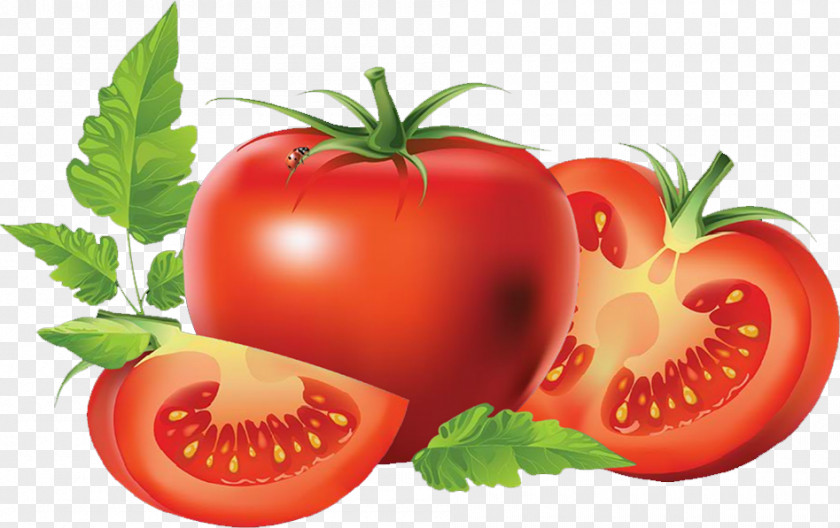 Tomato San Marzano Vegetable Food Lycopene PNG
