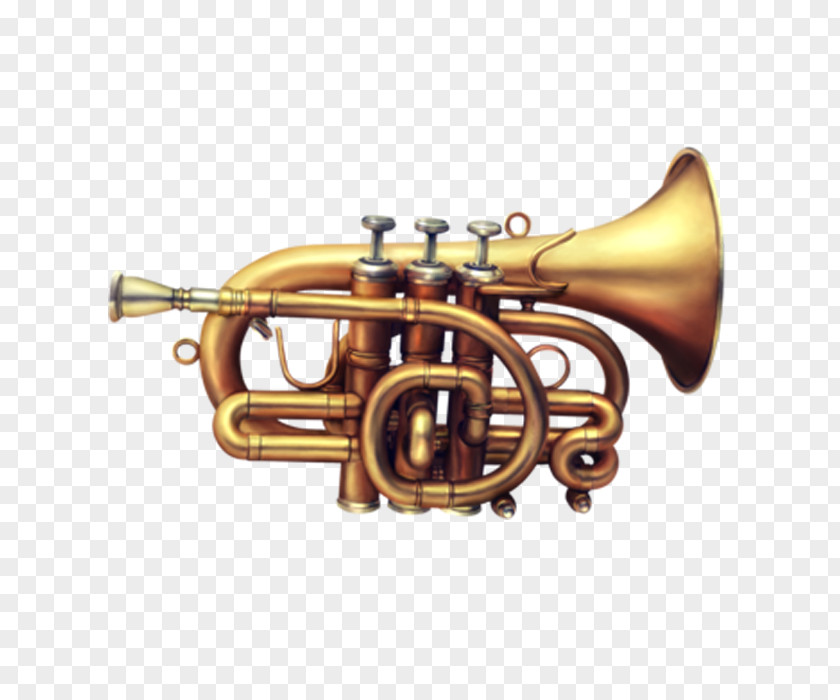 Western Musical Instruments Cornet Instrument Sones De Pasixf3n Wind Trumpet PNG