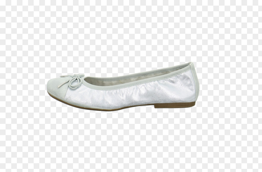 Ballet Flat Shoe PNG