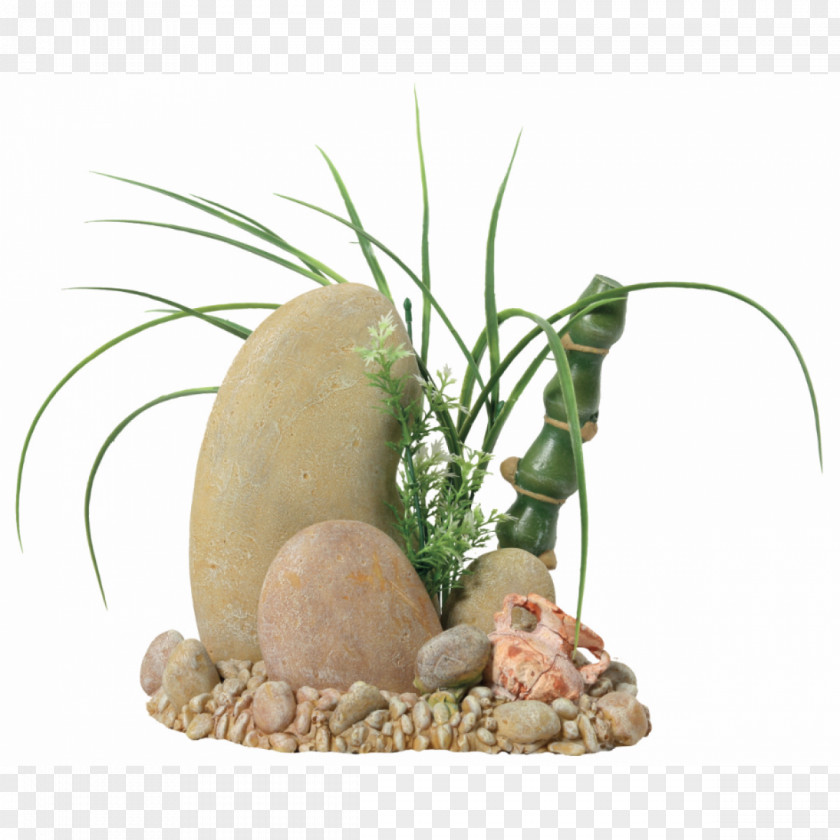 Brazil De Decoration Aquarium Ornamental Fish Theatrical Scenery Stone PNG