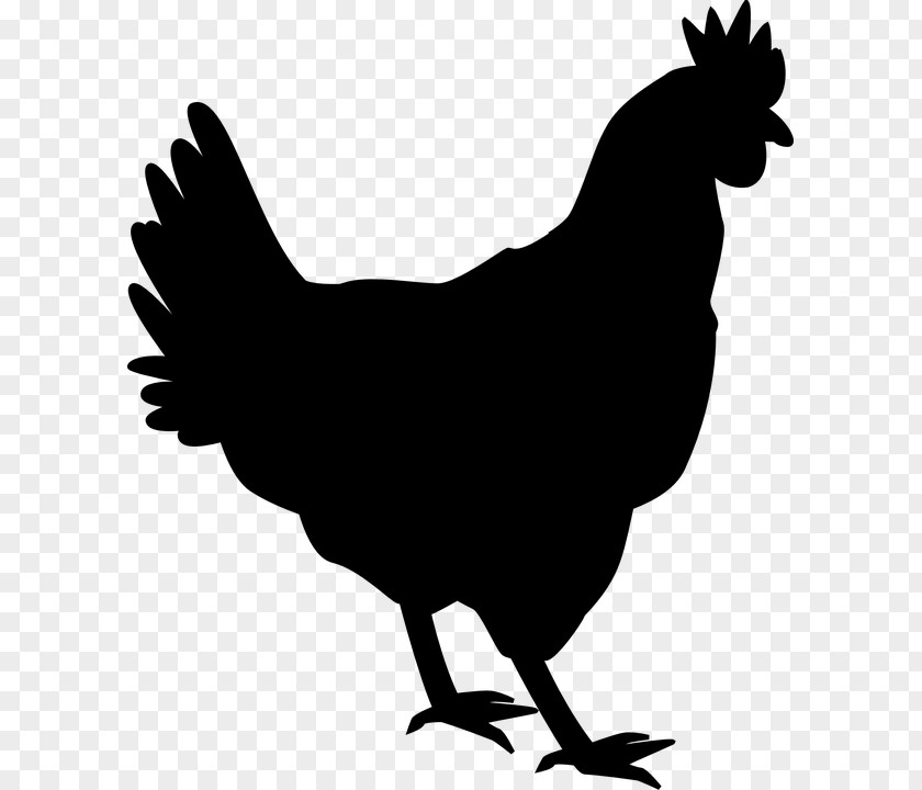 Chicken Rooster Silhouette Hen Clip Art PNG