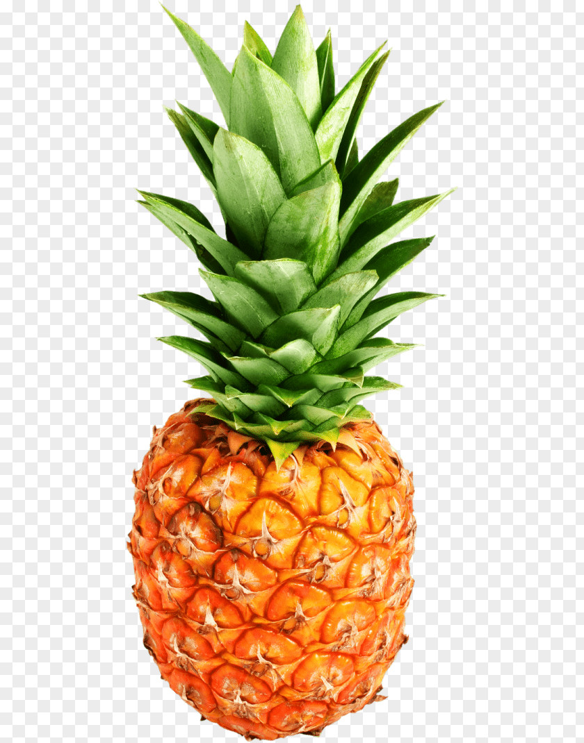 Pineapple Clip Art Vegetarian Cuisine Juice PNG