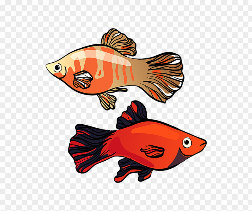 Platy Stamp Illustration Clip Art Southern Platyfish Graphics PNG