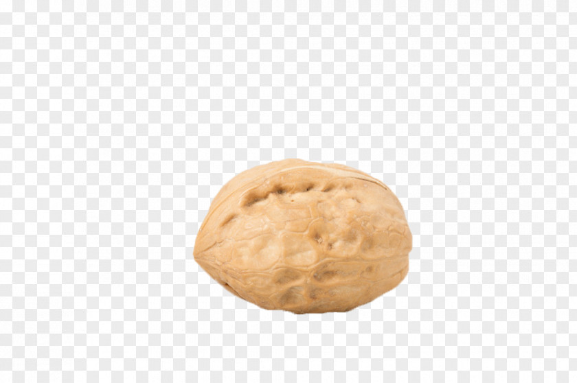 Walnut Cookie Biscuit Cracker PNG