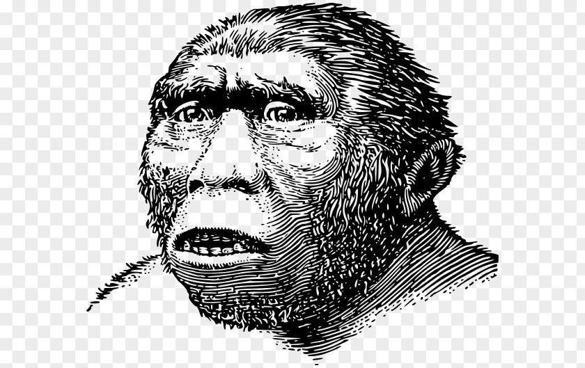 World History Sangiran Homo Sapiens Java Man Archaic Humans Meganthropus PNG