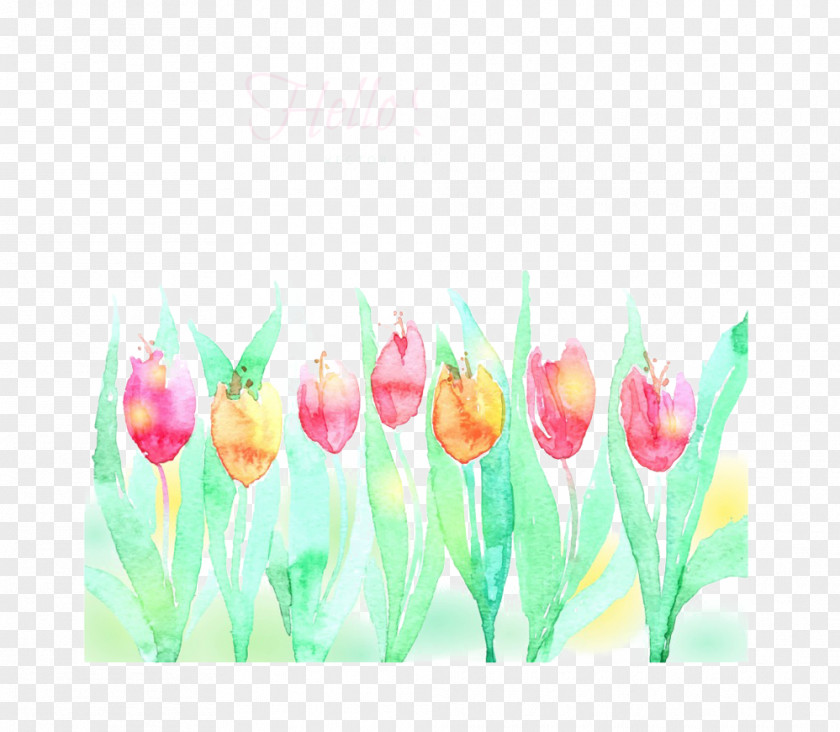 A Row Of Tulips Picture Material Tulip Watercolor Painting Illustration PNG