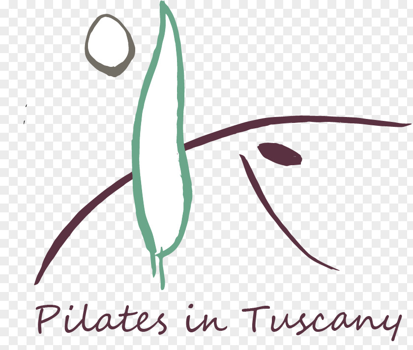 Abano Terme BASI Pilates Italia Pulidori Carlo Via Frascati Sport PNG