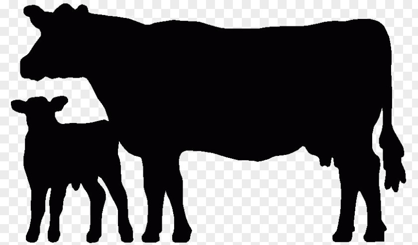 Bull Angus Cattle Beef Welsh Black Holstein Friesian Calf PNG