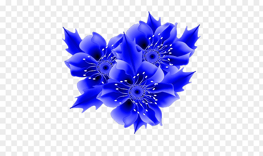 Flower Cluster Animation Surname Gfycat PNG