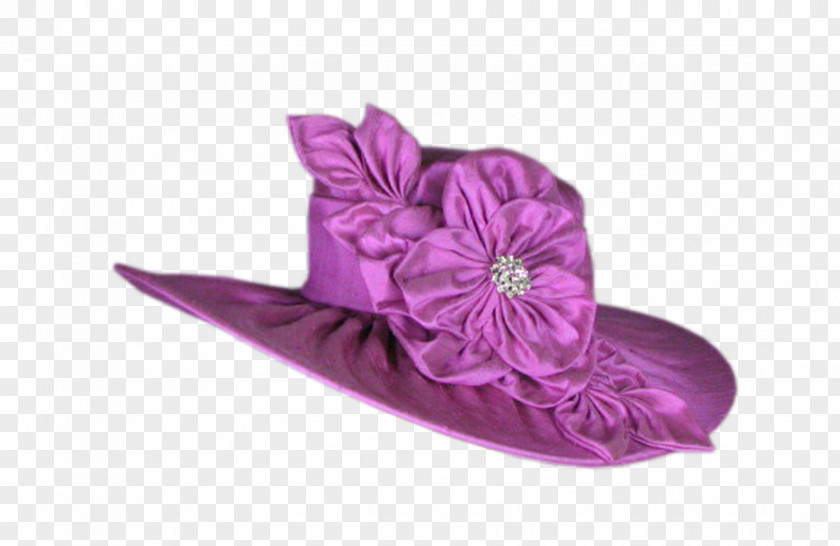 Hat Violet PNG