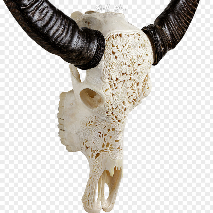 Buffalo Skull Horn Cattle Carving Art PNG