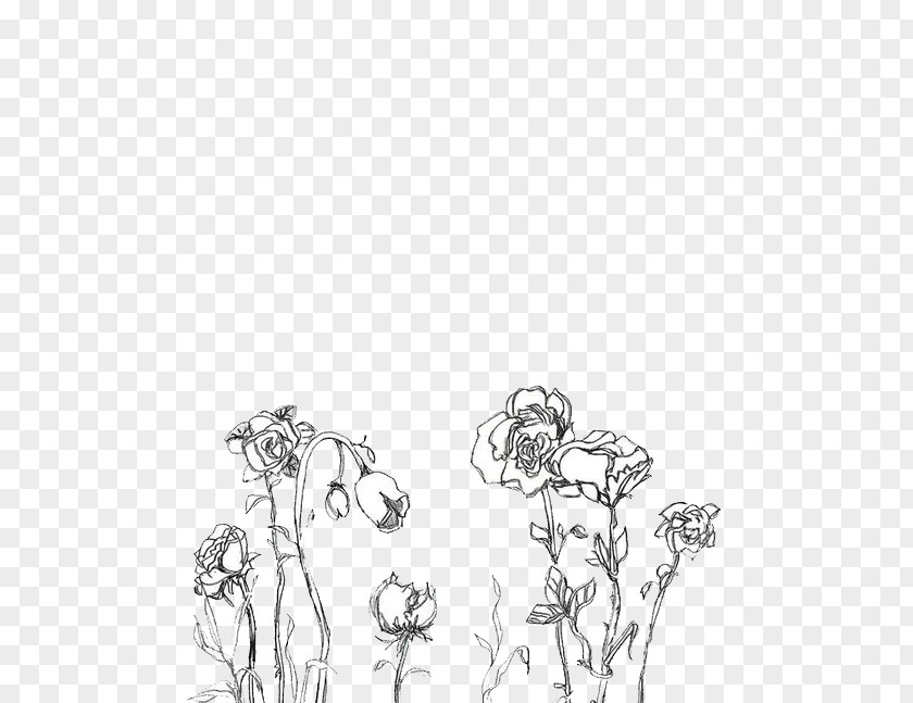 Drawing Flower Aesthetics Black And White Photography Color PNG