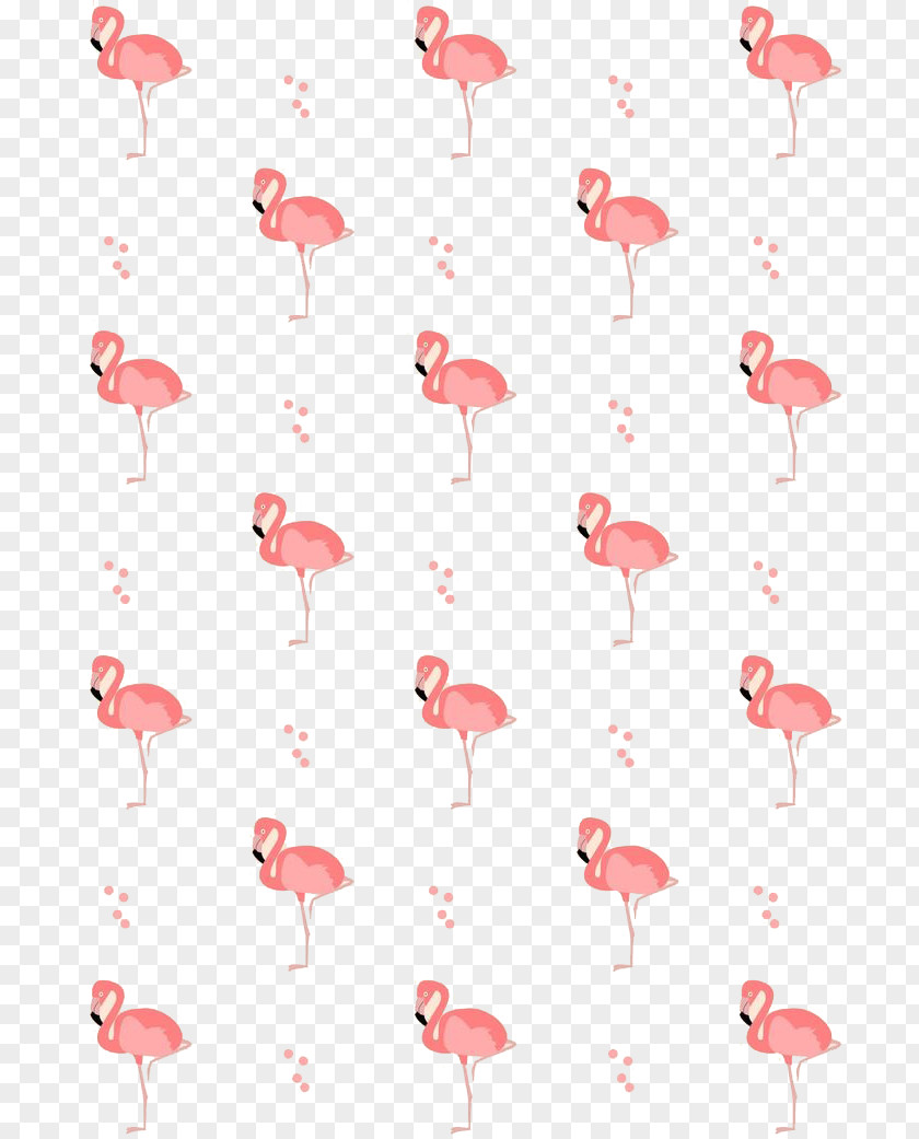 Flamingos Drawing Bird PNG