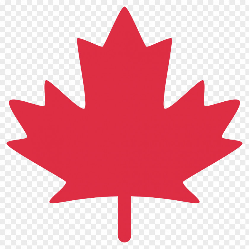 Maple Vector Flag Of Canada Leaf Slovakia PNG