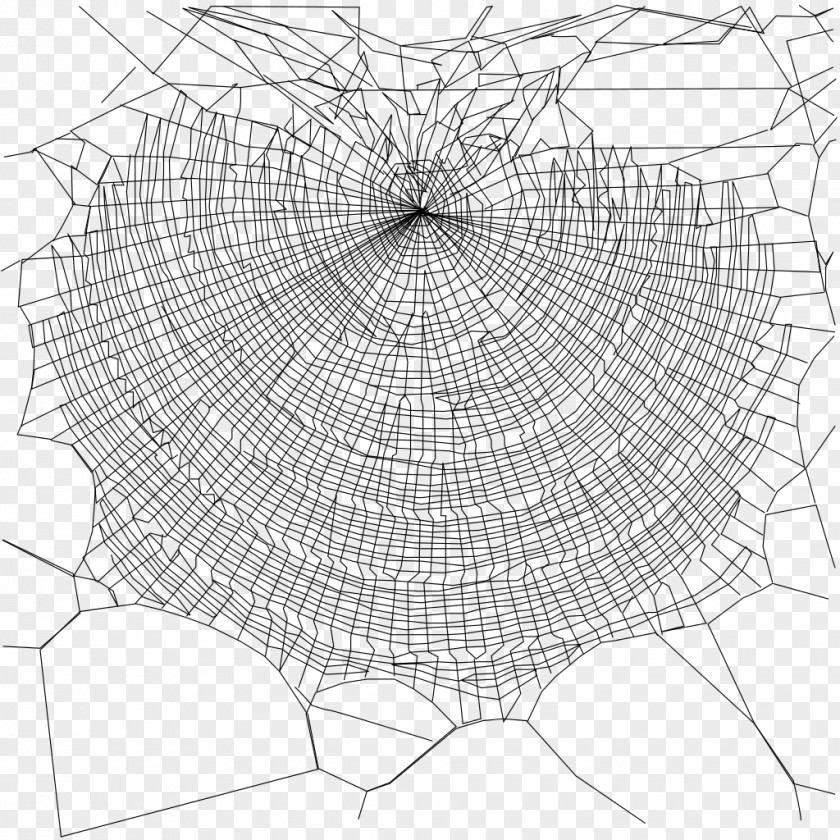 Spider Web Nephila Clavipes Silk PNG