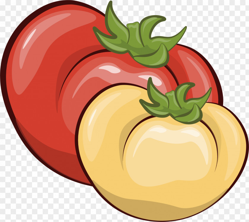 Two Tomatoes Tomato Vegetable Food Illustration PNG