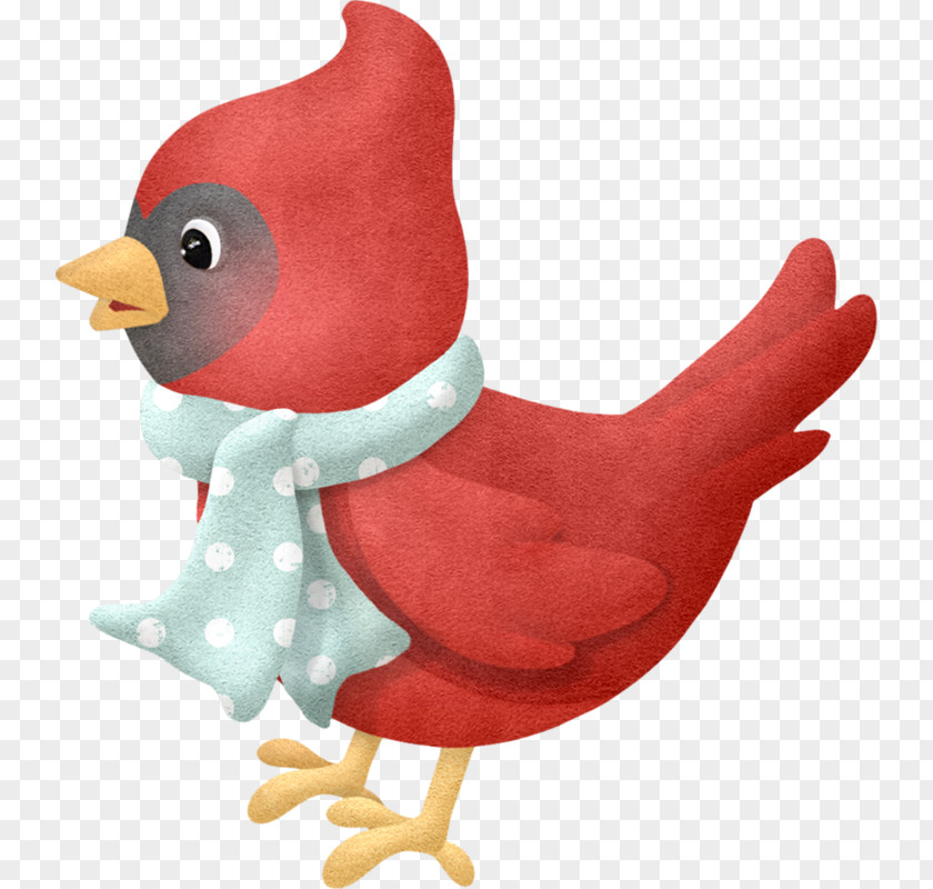 Bird Beak Cardinal Chicken Rooster PNG