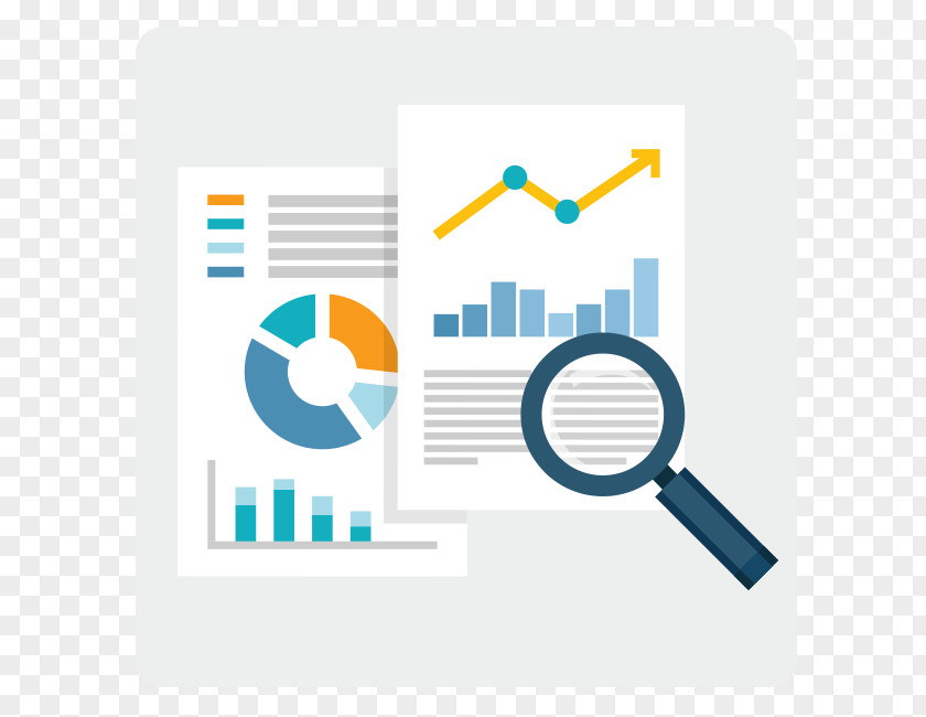 Data Visualization Case Study Business Management Analysis Market Research PNG