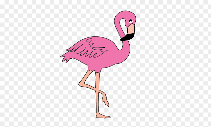 Flamingo Stock Photography Free Clip Art PNG