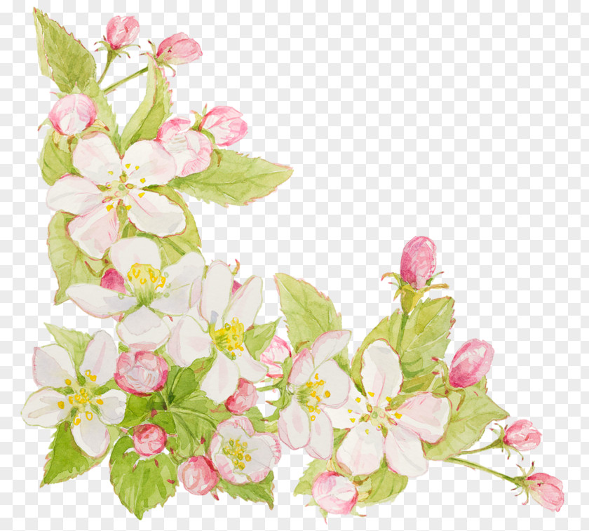 Flower Clip Art PNG