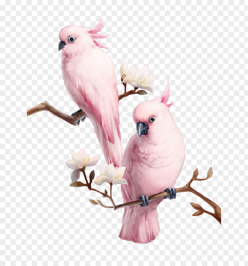 The Birds On Branches Bird Major Mitchell's Cockatoo Flamingos Pink PNG