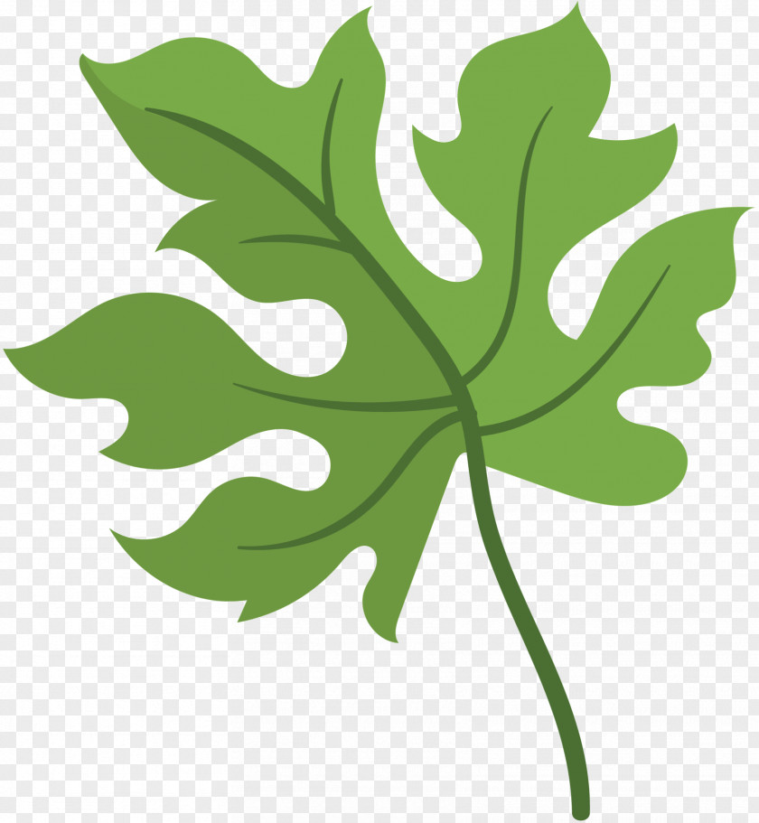 Leaf Clip Art Plant Stem Tree Plants PNG