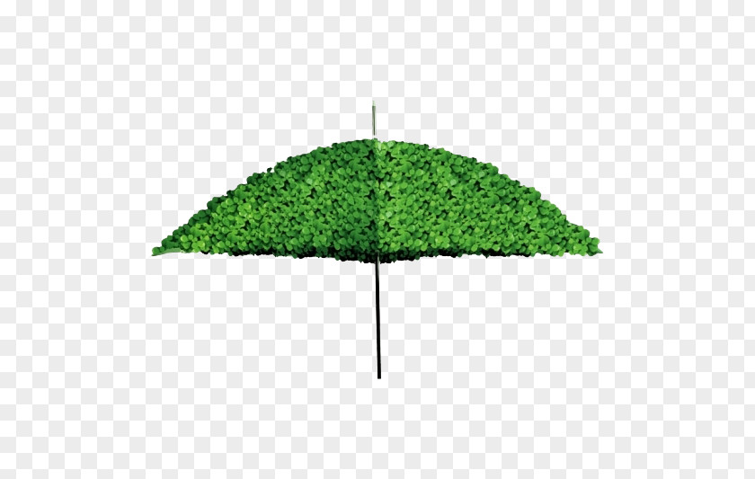Leaf Umbrella Creativity Cdr PNG